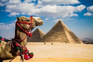 С 1 июля въезжать в Египет можно с сертификатом о вакцинации
