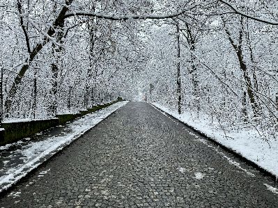 Сербия