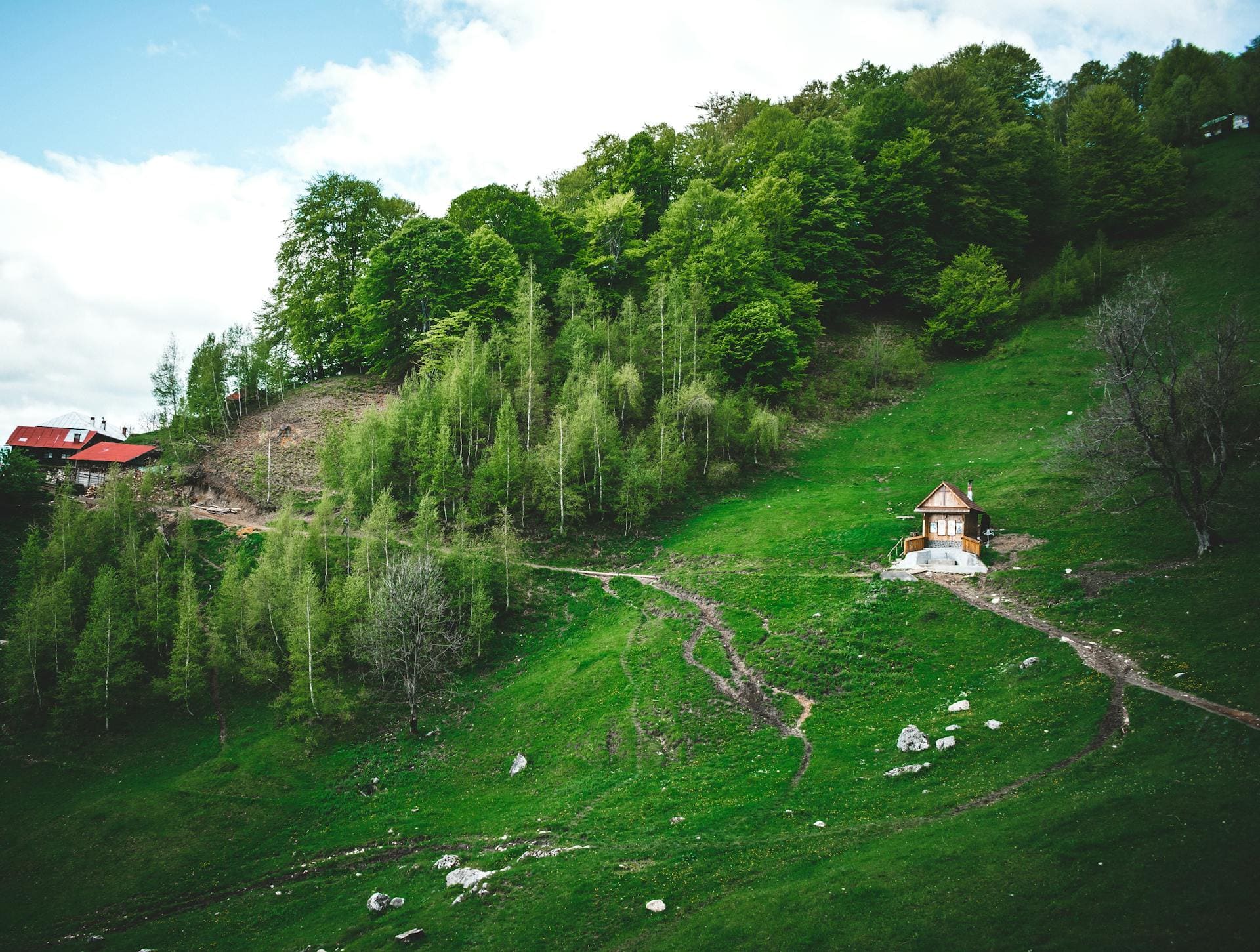 Румыния